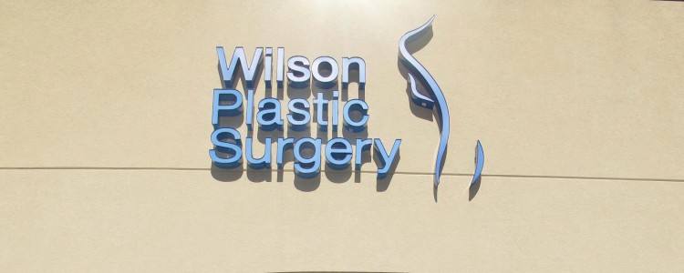 wilson plastic surgery